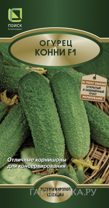 Семена Огурец Конни F1 12, Поиск