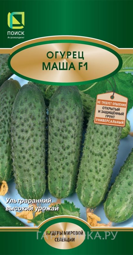 Семена Огурец Маша F1 12, Поиск