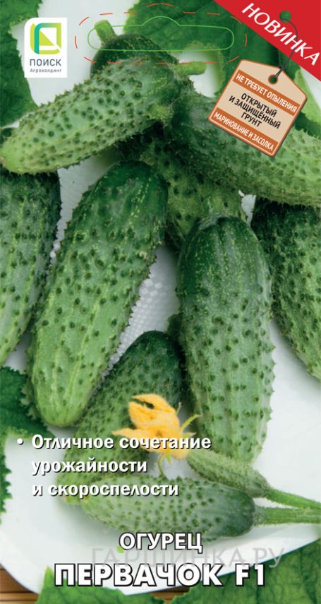 Семена Огурец Первачок F1 (А) 12, Поиск
