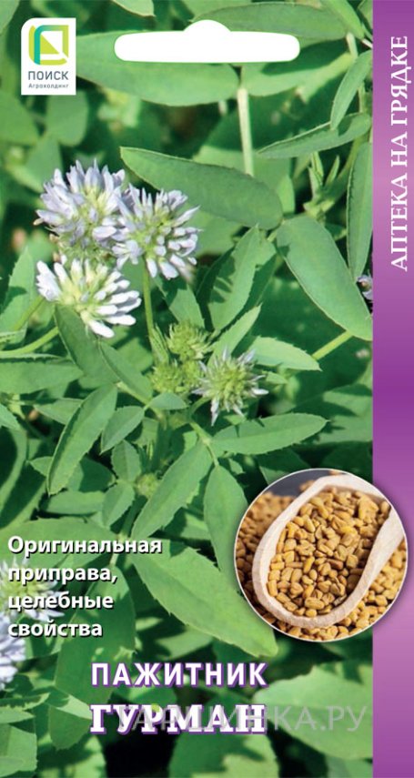 Семена Пажитник Гурман 20, Поиск