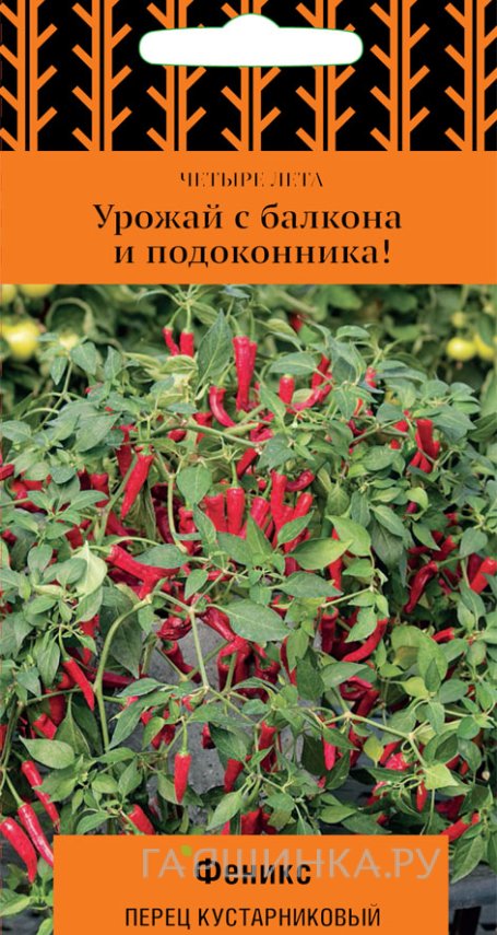 Семена Перец кустарниковый Феникс (А) 5, Поиск