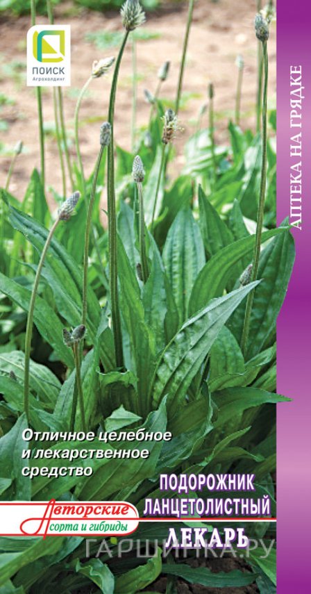 Семена Подорожник ланцетолистный Лекарь (А) 0,1, Поиск