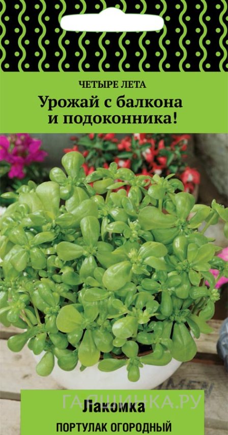Семена Портулак огородный Лакомка (А) 20, Поиск
