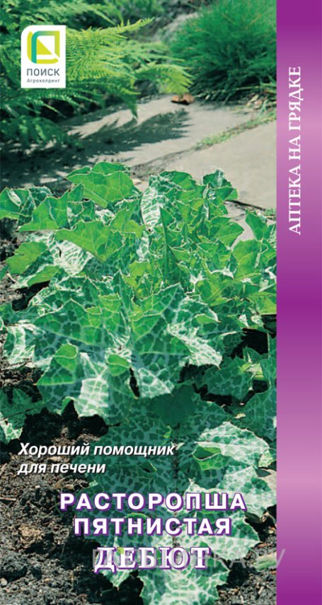 Семена Расторопша пятнистая Дебют 0,5, Поиск