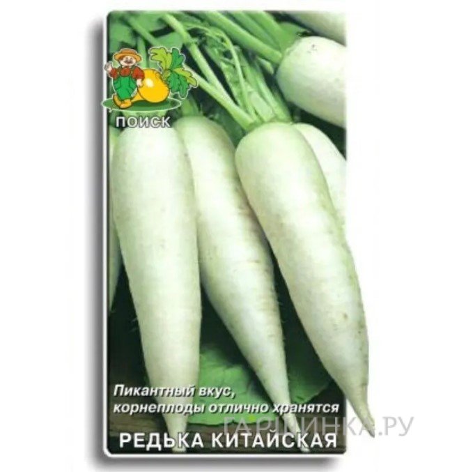 Семена Редька китайская Клык слона 2, Поиск