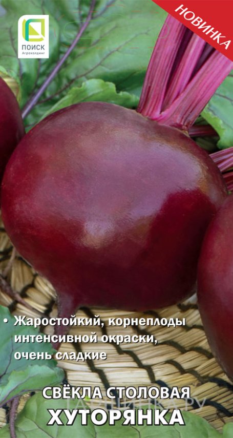 Семена Свекла столовая Хуторянка (А) 3, Поиск