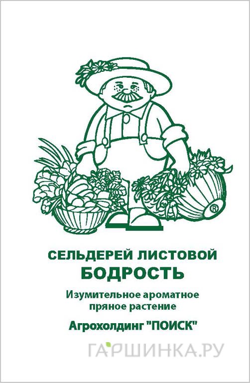 Семена Сельдерей листовой Бодрость 0,5, Поиск