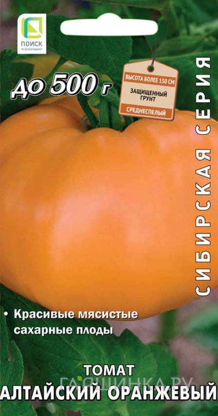 Семена Томат Алтайский оранжевый 0,1, Поиск