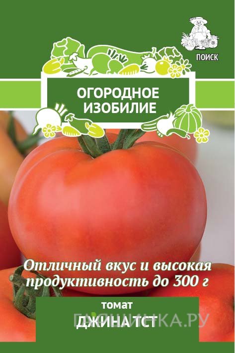 Семена Томат Джина ТСТ (А) 0,1, Поиск
