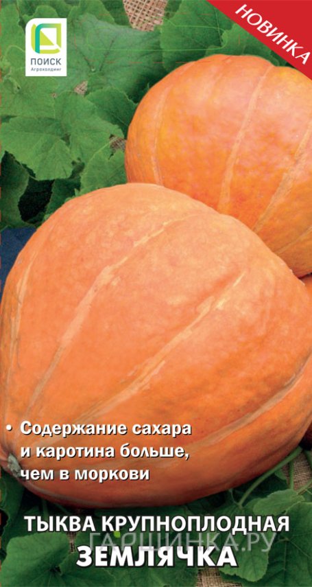 Семена Тыква крупноплодная Землячка (А) 10, Поиск