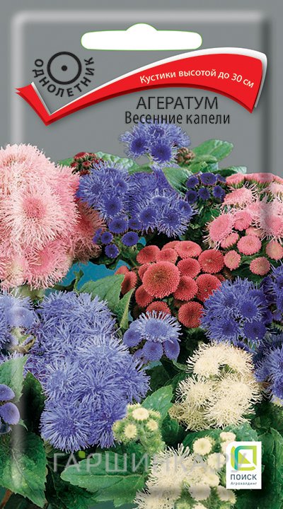 Семена Агератум Весенние капели 0,2, Поиск