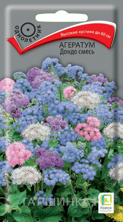 Семена Агератум Дондо смесь 0,1, Поиск