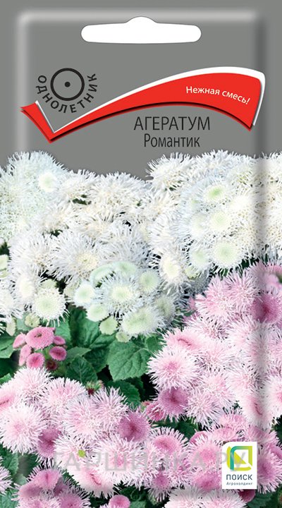 Семена Агератум Романтик 0,1, Поиск