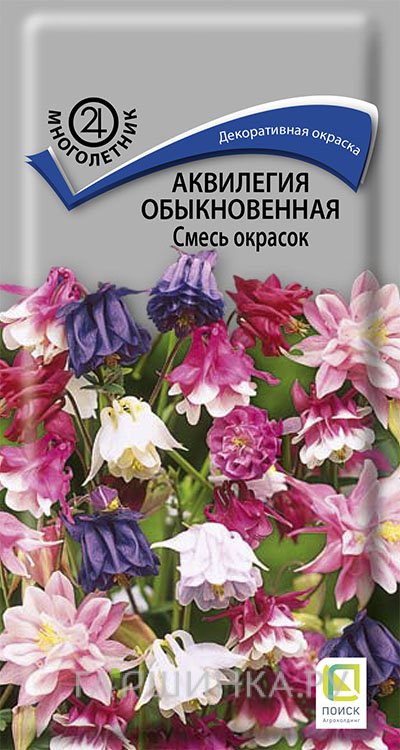 Семена Аквилегия обыкновенная Смесь окрасок 0,2, Поиск