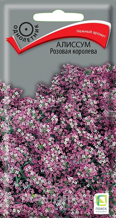 Семена Алиссум Розовая королева 0,3, Поиск