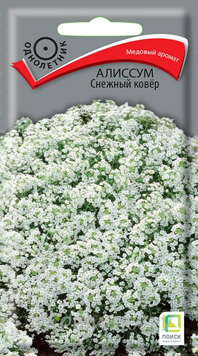Семена Алиссум Снежный ковер 0,3, Поиск