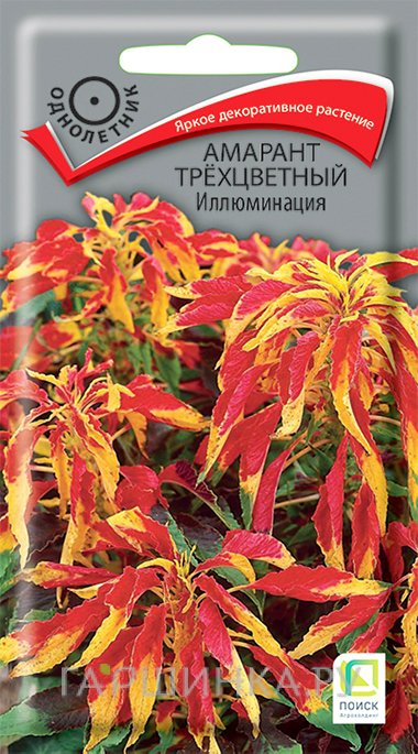 Семена Амарант трехцветный Иллюминация 0,1, Поиск