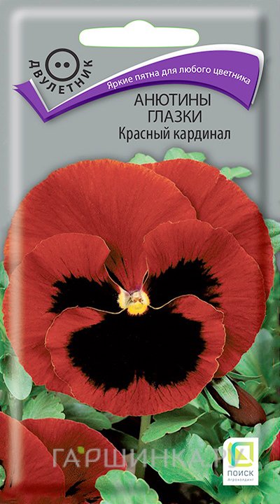 Семена Анютины глазки Красный кардинал 0,2, Поиск
