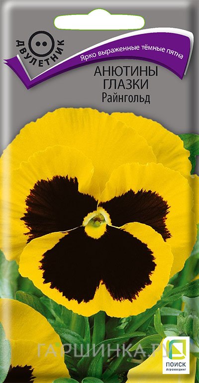 Семена Анютины глазки Райнгольд 0,2, Поиск