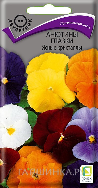 Семена Анютины глазки Ясные кристаллы 0,2, Поиск