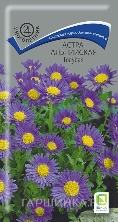 Семена Астра альпийская Голубая 0,04, Поиск