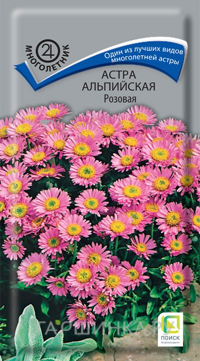 Семена Астра альпийская Розовая 0,04, Поиск