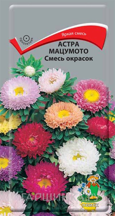 Семена Астра мацумото Смесь окрасок 0,1, Поиск