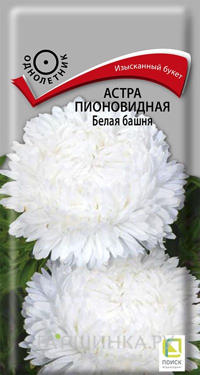 Семена Астра пионовидная Белая башня 0,3, Поиск