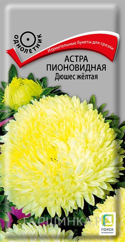 Семена Астра пионовидная Дюшес желтая 0,3, Поиск