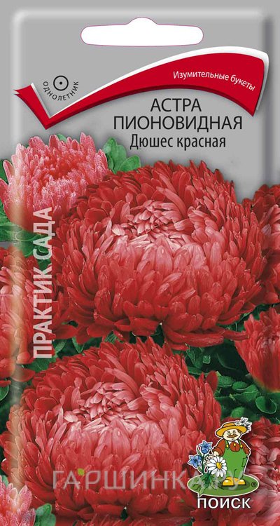 Семена Астра пионовидная Дюшес красная 0,3, Поиск