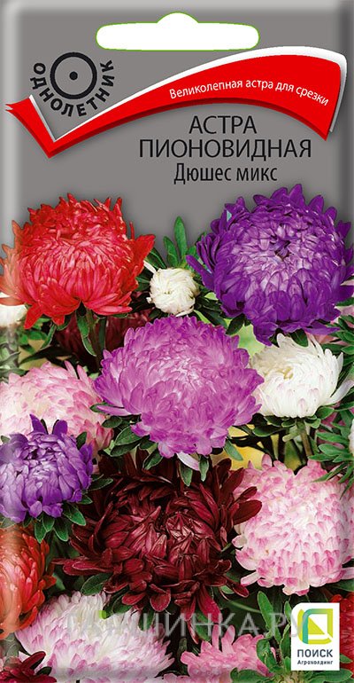 Семена Астра пионовидная Дюшес микс 0,3, Поиск