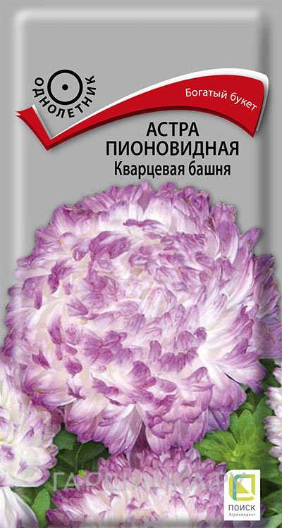 Семена Астра пионовидная Кварцевая башня 0,3, Поиск