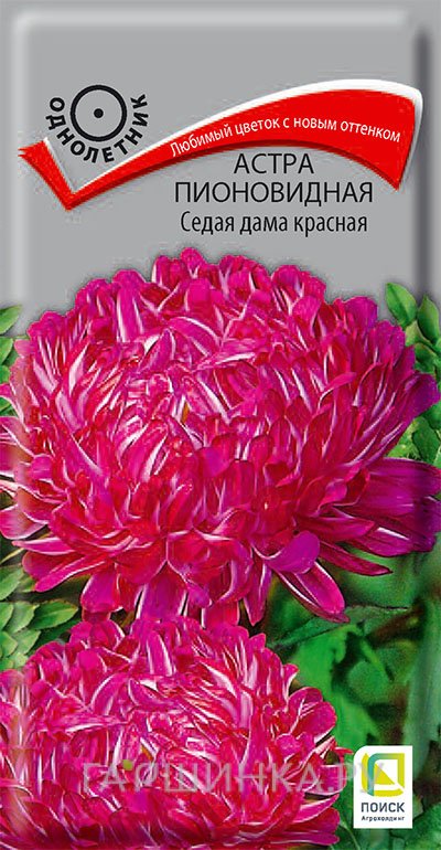 Семена Астра пионовидная Седая дама красная 0,3, Поиск