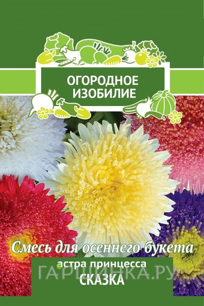 Семена Астра принцесса Сказка 0,3, Поиск
