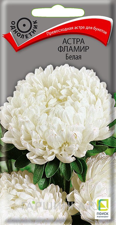 Семена Астра Фламир Белая 0,3, Поиск
