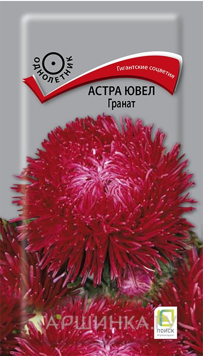 Семена Астра ювел Гранат 0,2, Поиск
