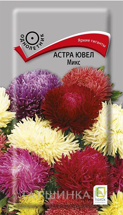 Семена Астра ювел Микс 0,2, Поиск