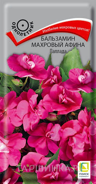 Семена Бальзамин махровый Афина Паллада 5, Поиск