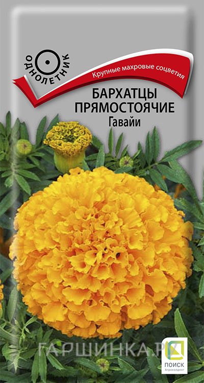 Семена Бархатцы прямостоячие Гавайи 0,4, Поиск