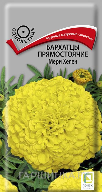 Семена Бархатцы прямостоячие Мери Хелен 0,4, Поиск