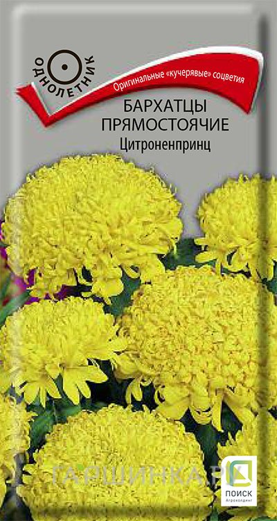 Семена Бархатцы прямостоячие Цитроненпринц 0,4, Поиск