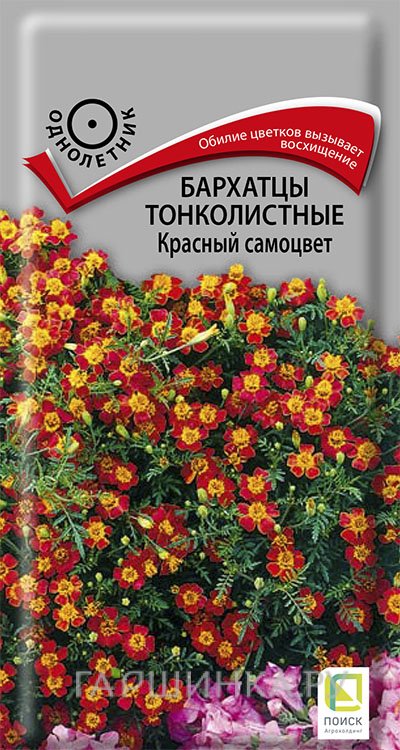 Семена Бархатцы тонколистные Красный самоцвет 0,1, Поиск