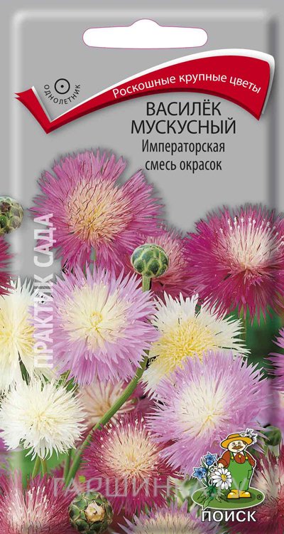 Семена Василек мускусный Императорская смесь окрасок 0,2, Поиск
