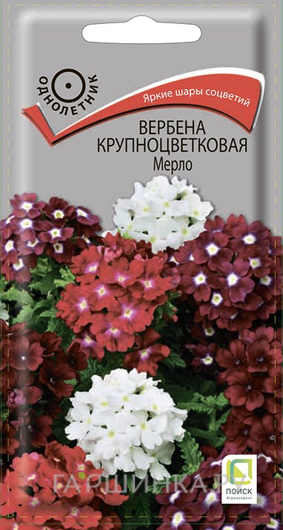 Семена Вербена крупноцветковая Мерло 10, Поиск