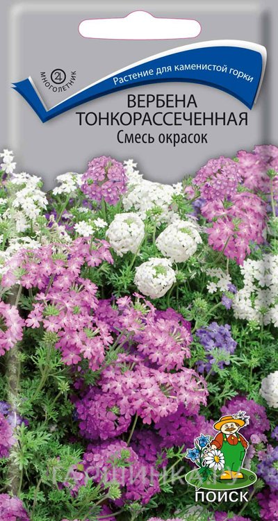 Семена Вербена тонкорассеченная Смесь окрасок 0,02, Поиск