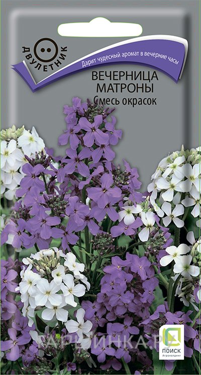 Семена Вечерница Матроны Смесь окрасок 0,3, Поиск