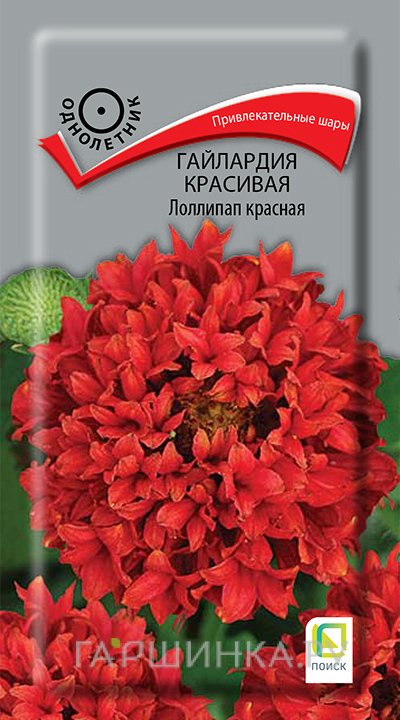Семена Гайлардия красивая Лоллипап Красная 0,1, Поиск