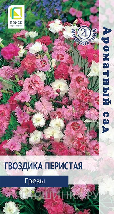 Семена Гвоздика перистая Грезы 0,1, Поиск