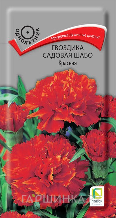 Семена Гвоздика садовая Шабо Красная 0,1, Поиск
