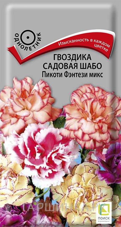 Семена Гвоздика садовая Шабо Пикоти Фэнтези микс 0,3, Поиск